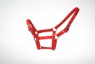 Foal halter red