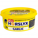 Horslyx Garlic mini hestanammi