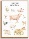 Poster The Icelandic Farm Animals