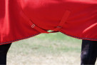 TR fleece rug SOFTLINE red