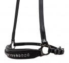 Top Reiter DIAMOND noseband 