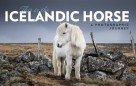 This is the Icelandic horse