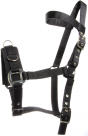 Lungeing halter