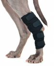 BoT Dog Hock Brace pair