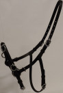 Lunging halter Cavesson with D rings