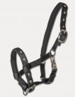 Foal halter comfort