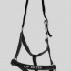 Top Reiter halter + lead rope