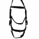 Training bridle 
