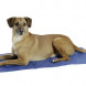 Bli Cooling Mat Cool-Relax