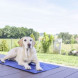 Bli Cooling Mat Cool-Relax