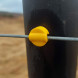 Tappi  plaststaura