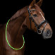 LED neck strap for horses