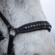 Top Reiter DIAMOND nasamll 