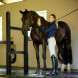 Ariat Sunstopper 3.0 bolur blr