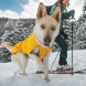 Ruffwear 