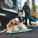 Ruffwear 