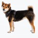 Ruffwear Front Range beisli Basalt Gray