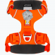 Ruffwear Front Range beisli Blaze Orange