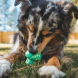 Ruffwear Toadstool leikfang 