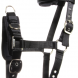 Lungeing halter