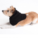 BOT fleece loop for dogs