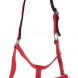 Top Reiter halter + lead rope