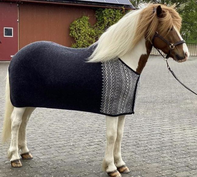 Wool blanket horse new arrivals